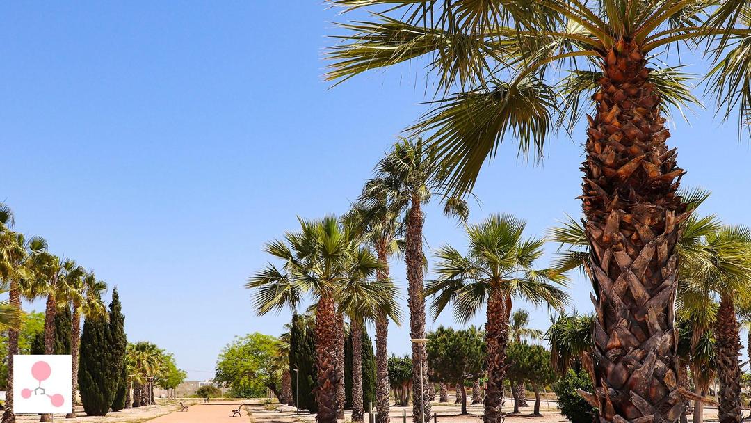 property gallery image 8