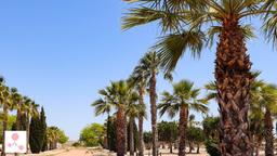 property gallery image 8